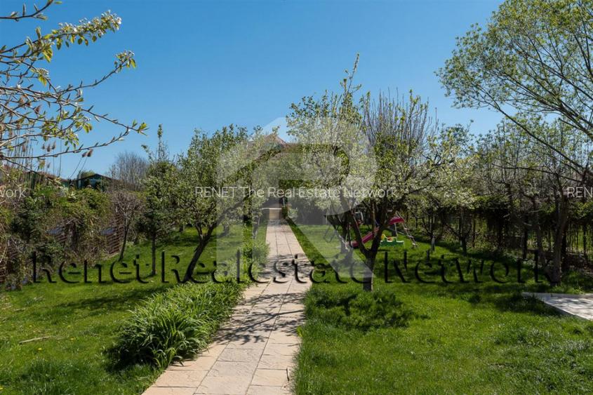 O Poveste de Vis pe Malul Lacului Snagov - 47