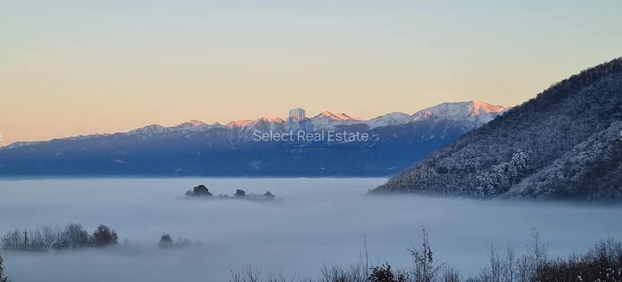 Parcele Teren cu PUZ si toate utilitatile / Cisnadioara-Sibiu - 7