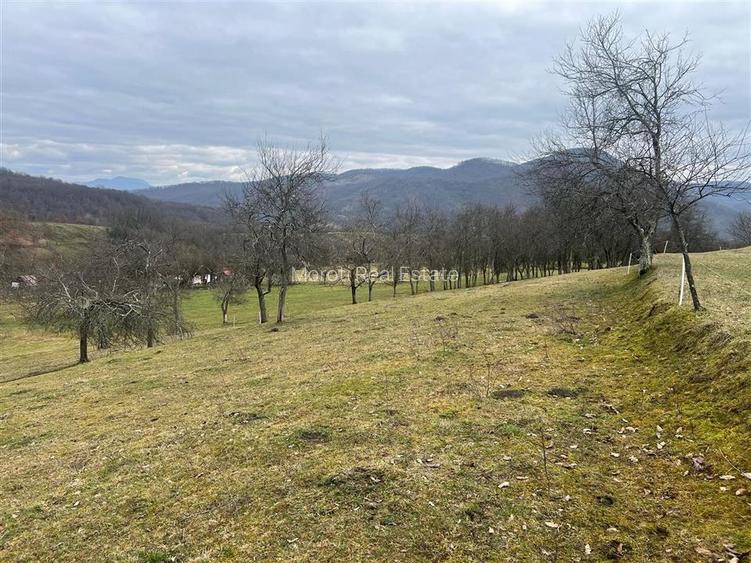 Teren intravilan si extravilan Luncoiu de Jos - 11