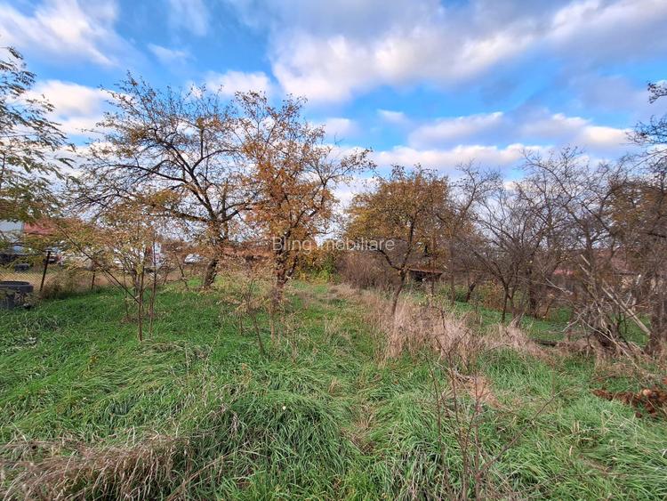 Casa individuala de vanzare cu livada si teren generos in Luna de Sus - 5