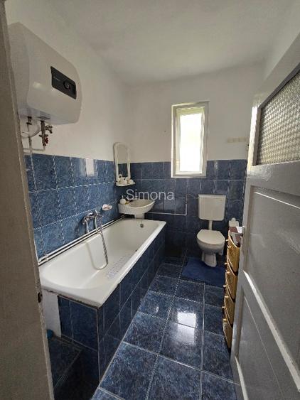 Aproape de Marginimea Sibiului, casa in inima unui parc - 10