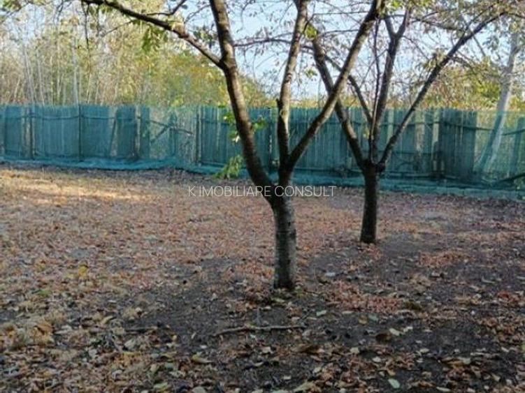 Buftea - Domeniul Stirbey - 7