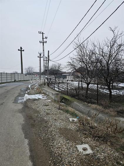 Casa Uileacu de Cris - 12