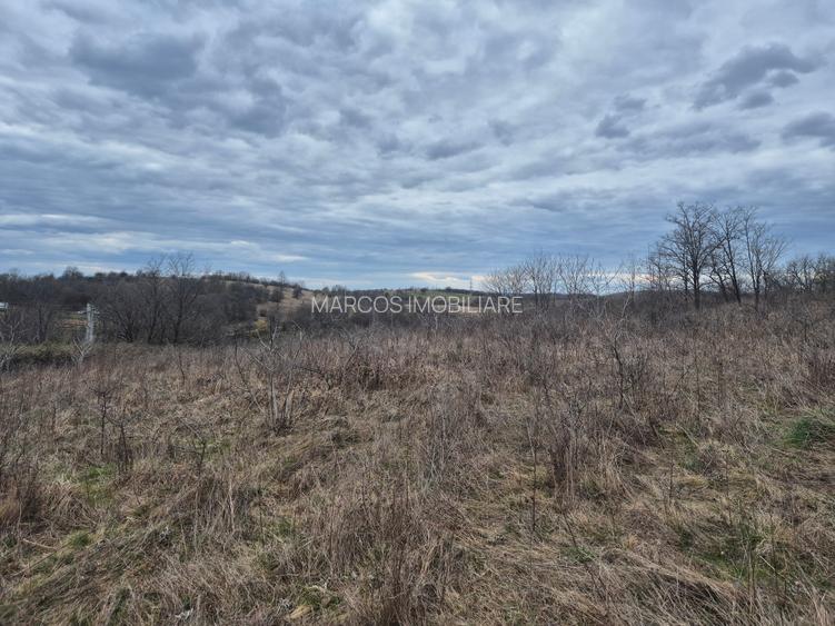 Vand 2 parcele de 5700 mp zona Iabalcea - 7
