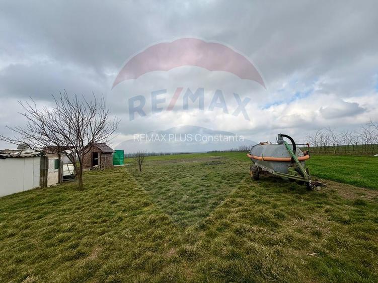 Teren extravilan Săcele ideal pentru silozuri, fermă sau investiție - 19