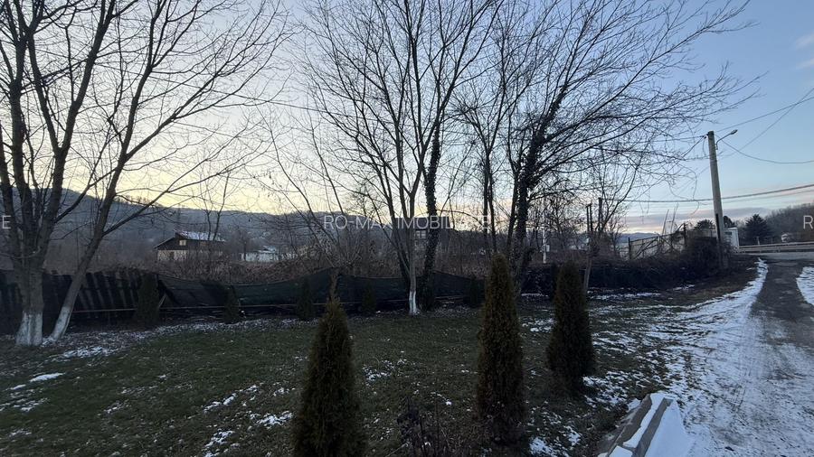 Teren intravilan construcții 10834 mp + construcție- cabană lemn! - 13