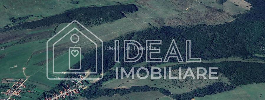 Pădure matură 12,71 ha - Mag, jud. Sibiu - potențial exploatare 2025 - 2