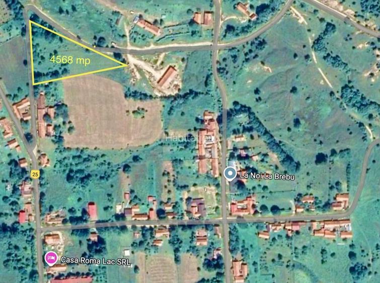 Teren intravilan 4.568 mp, 2 fronturi – Brebu Nou, Caraș-Severin - 2