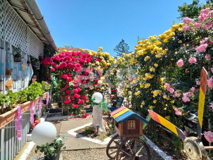 Casă spațioasă cu livadă în Buziaș - 4
