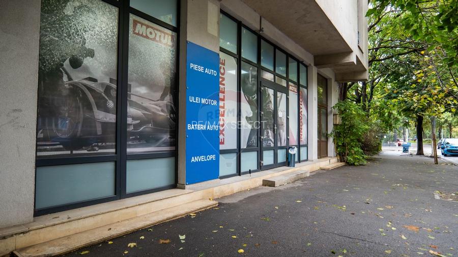 INVESTITIE - Vanzare vilă spatioasa cu S+P+2E+M, zona Doamna Ghica - 2