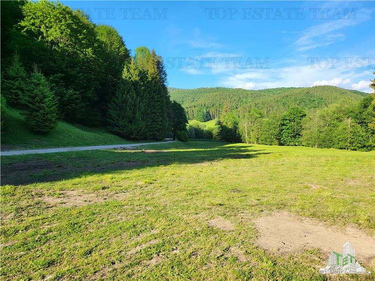 Teren Intravilan 12000 mp, Cascada Urlatoarea, proiect aprobat pentru Resort, la