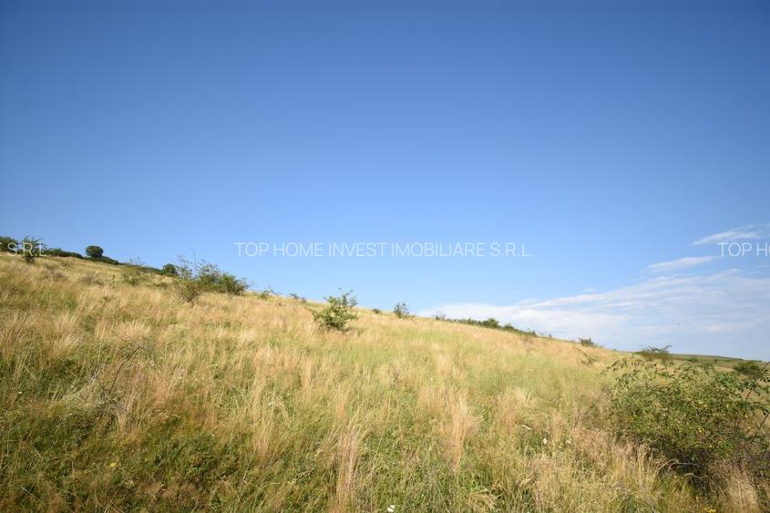 Oportunitate de investitie! Teren extravilan Chinteni! - 5