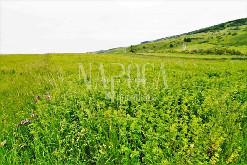 Teren extravilan pentru constructii de vanzare in Popesti - 4