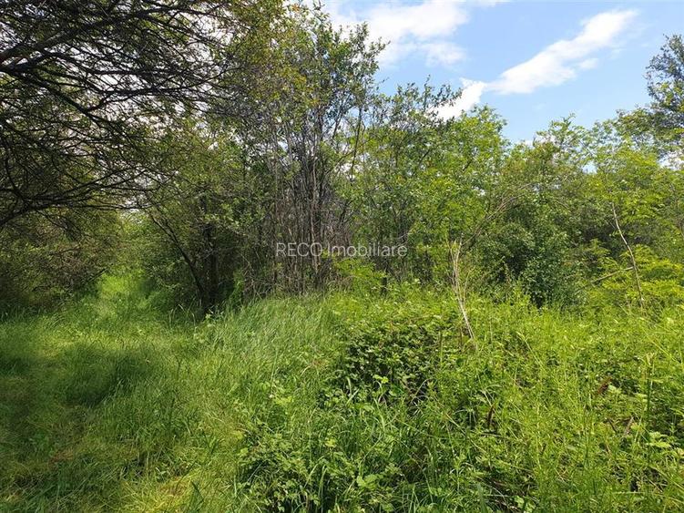 Teren extravilan Episcopia Bihorului - 5