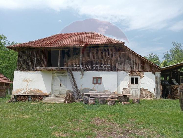 Vanzare casa  4 camere-microferma, cu panouri fotovoltaice - 21