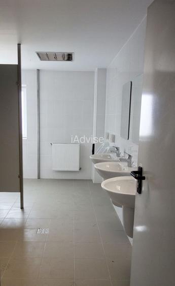 SPATIU INDUSTRIAL - PARC INDUSTRIAL CRISTIAN  BRASOV - 6