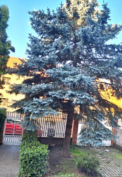 Langa Parc Padurice, pentru locuit sau afacere - 38