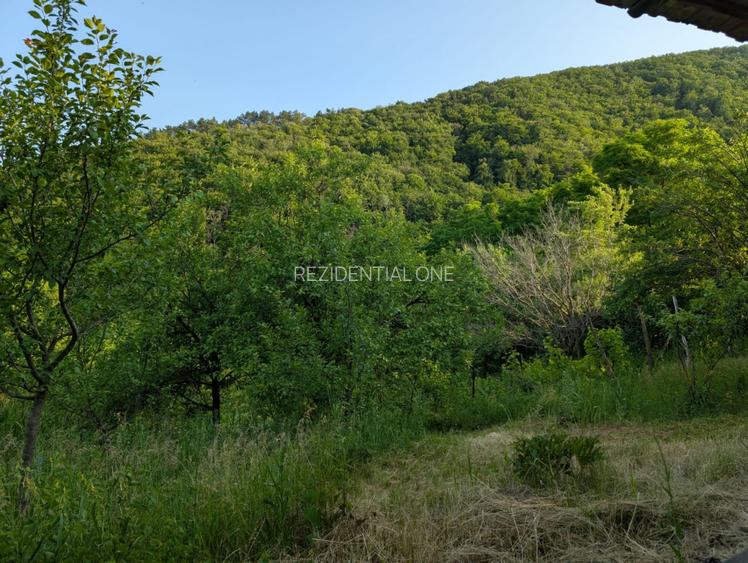 Sarata Bai- Oportunitate investitie- 4038 mp- priveliste spectacol - 6