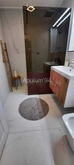 Apartament de 2 camere Corneliu Coposu, prima inchiriere - 17