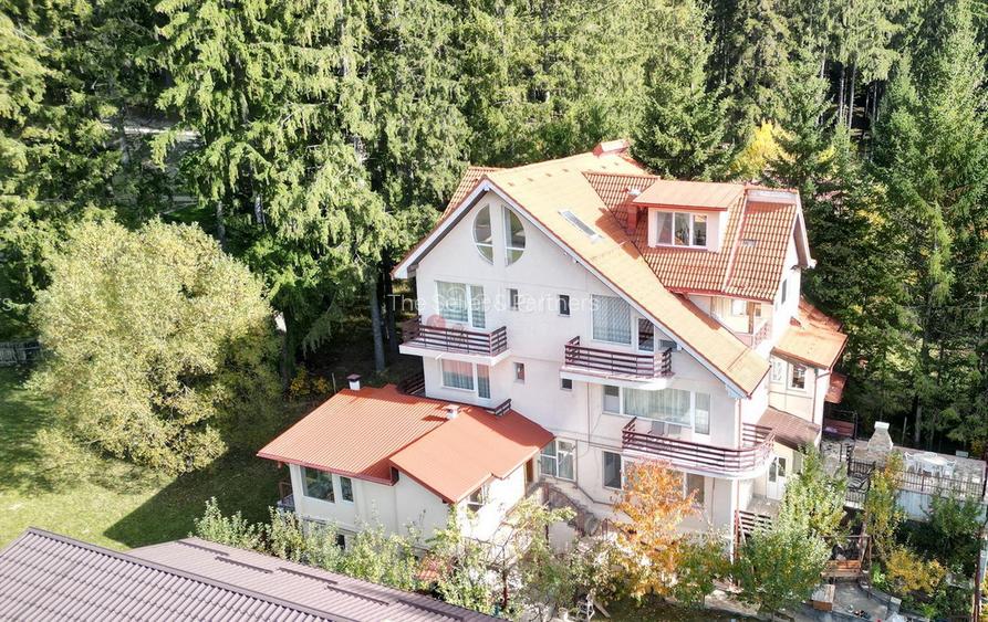 Priveliste Panoramica Muntii Bucegi - 5