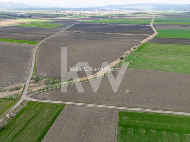 Teren de vanzare – Ghimbav, Brasov | 9.400 mp - 4