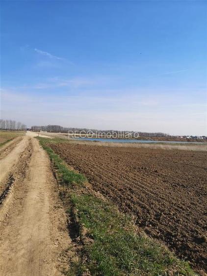 RECO Teren Santion - 3