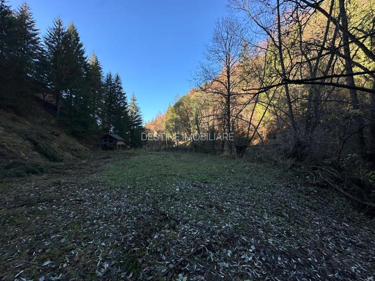 Teren 2.882 mp – oportunitate investitie - Cheile Dambovicioarei - 4