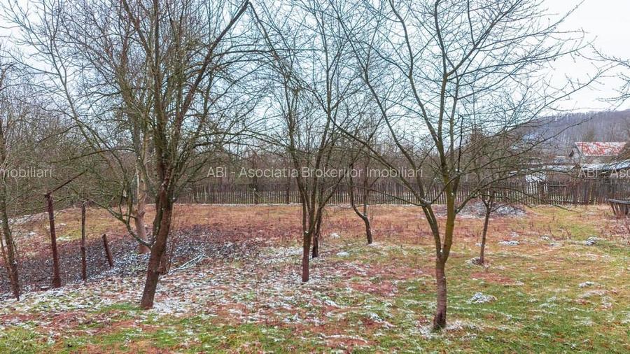 Iedera, Cricovul Dulce, casa de vanzare 90mp, teren 2450mp - 10