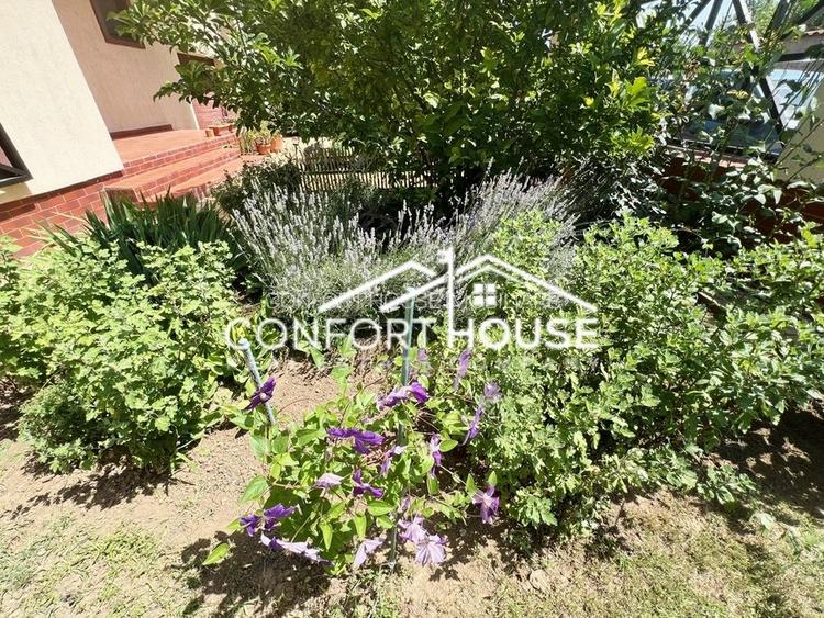 Vila 7 camere, teren 880mp, vanzare- inchiriere, IANCU NICOLAE - 48