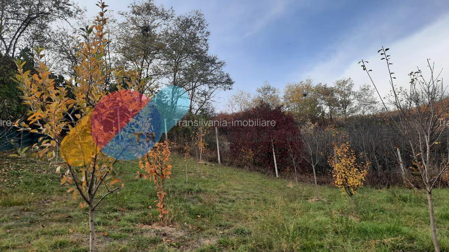 Casa, 1553 mp teren, zona linistita, sat Cara  - 12