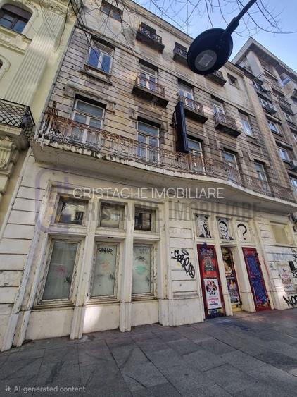 Spatiu comercial stradal Regina Elisabeta - 3