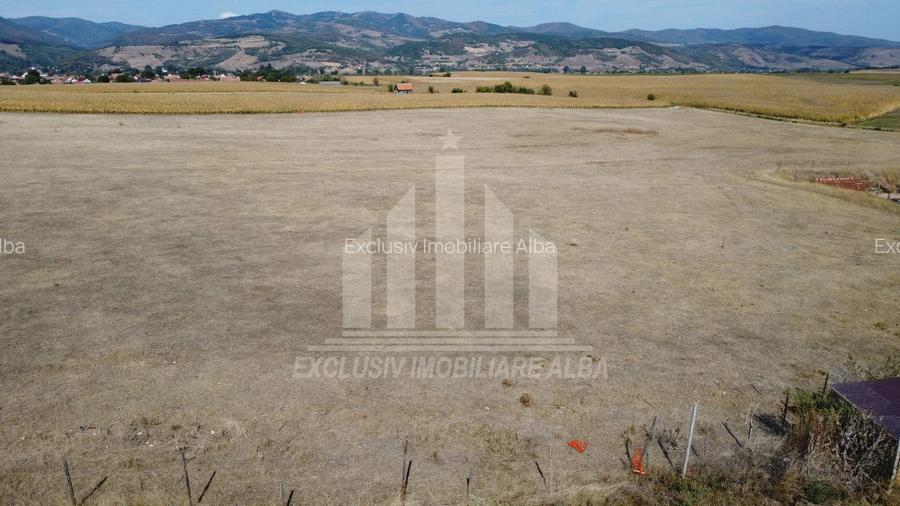 Teren pentru contructii industriale | Hale, Depozite| aproape de Sebes - 5