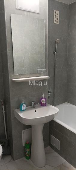 Proprietar inchiriez Grasoniera zona Ciuperca (1 Mai), renovata - prima inchirie - 4