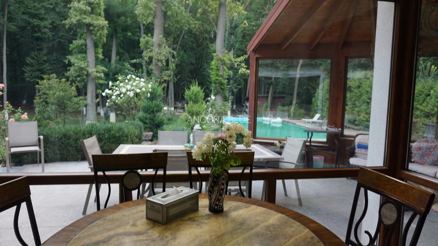 Vila superba in Padurea Baneasa, curte 5000 mp, piscina exterioara - 17