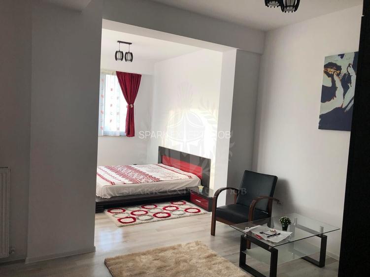 3 CAMERE // ZONA 9 MAI // PENTHOUSE// PET FRIENDLY - 4