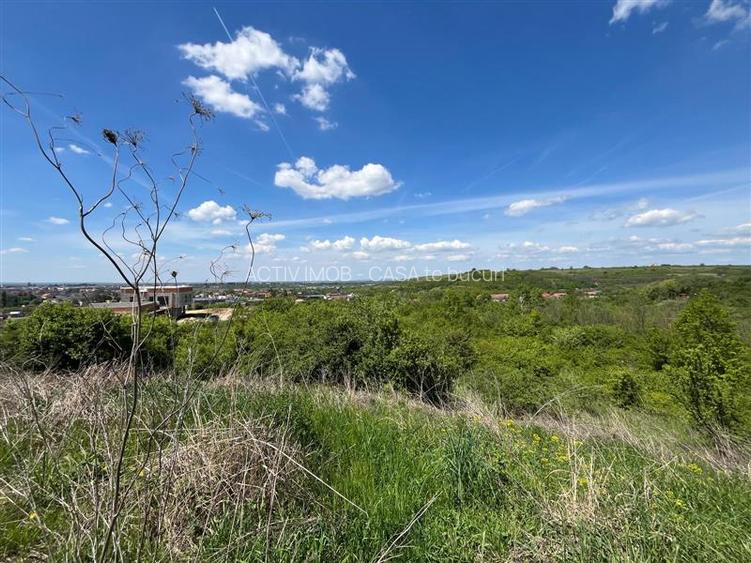 Lugoj Teren  8.200 Mp., Dealul Viilor, Priveliste Impresionanta - 11