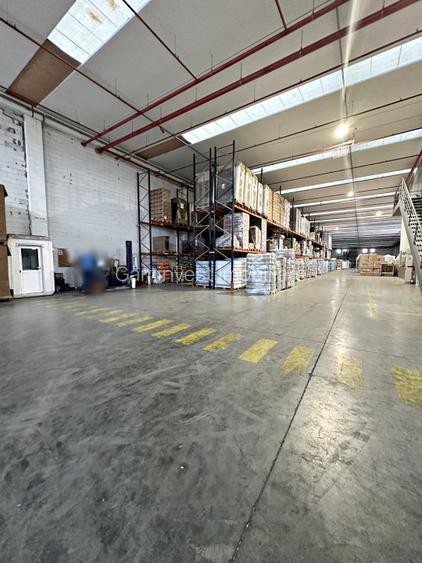 Hala de inchiriat, Parcul Industrial Bors , Bihor - 3