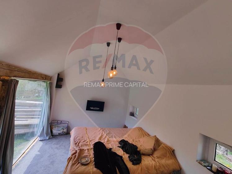 De vânzare teren intravilan 10,100 mp, cu anexă, Munteni - 11