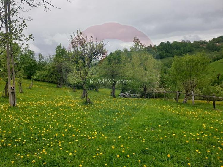 COMISION 0% | Teren 1,000mp Bran | Strada Clincea | - 3