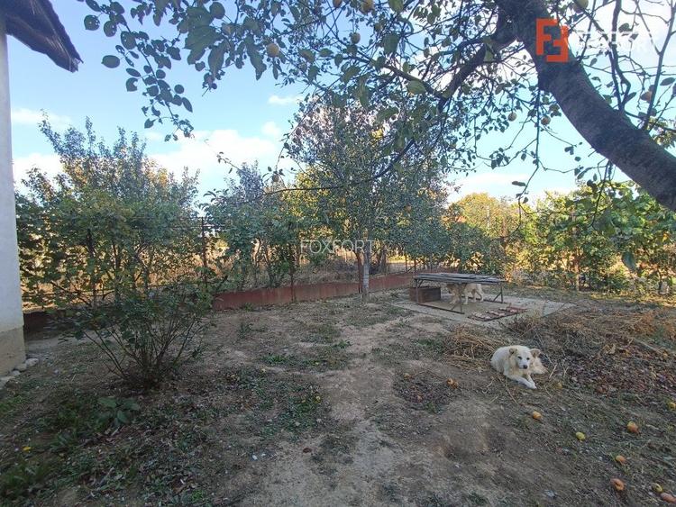 COMISION 0% Casa individuala cu 4 camere de vanzare in Urseni - 10