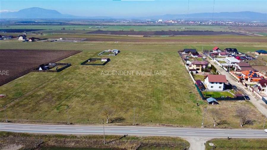 Teren intravilan 18.200mp, cu PUZ si PUD, ideal constructi case, Bod, Brasov. - 13