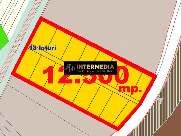 Vanzare Teren Intravilan 12500 mp PUZ aprobat construire Case Paclisa