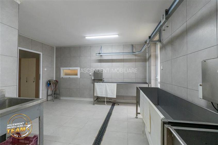 FILM! Ferma de iepuri,Malnas,Covasna: domeniu:industrial/comercial,asset UE - 27