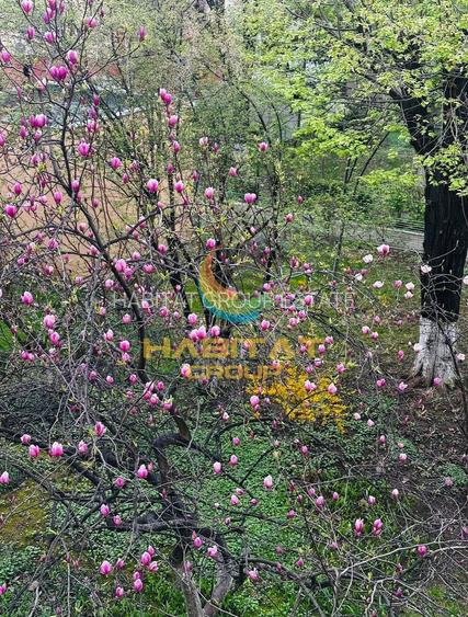 Brancoveanu vanzare 3 camere decomandat langa Petrom - 14