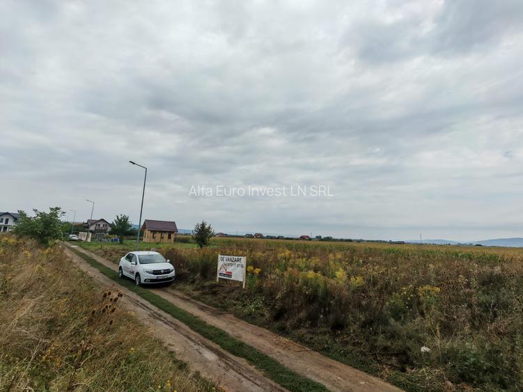 Teren de Casa - Harman - Brasov - 5