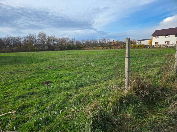 Teren intravilan in Focsani 7200 mp cu 70,5 m deschidere - 9