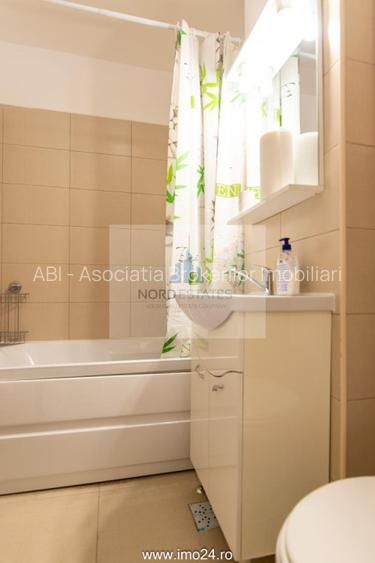 Victoriei-Banu Manta, apartament 2 camere de inchiriat - 9
