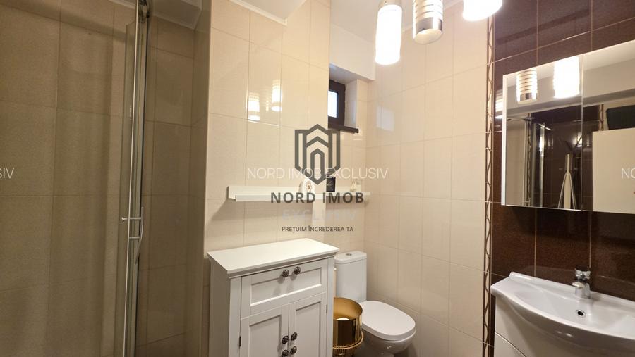 Vanzare Studio Cochet | Mobilat-utilat | Gata de mutat | Damaroaia–Coralilor  - 10