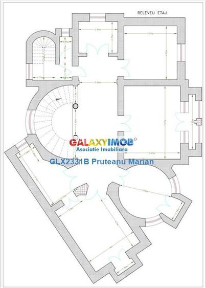 Inchiriere vila Aristrocrata cu traditie in apropriere de Piata Romana - 11