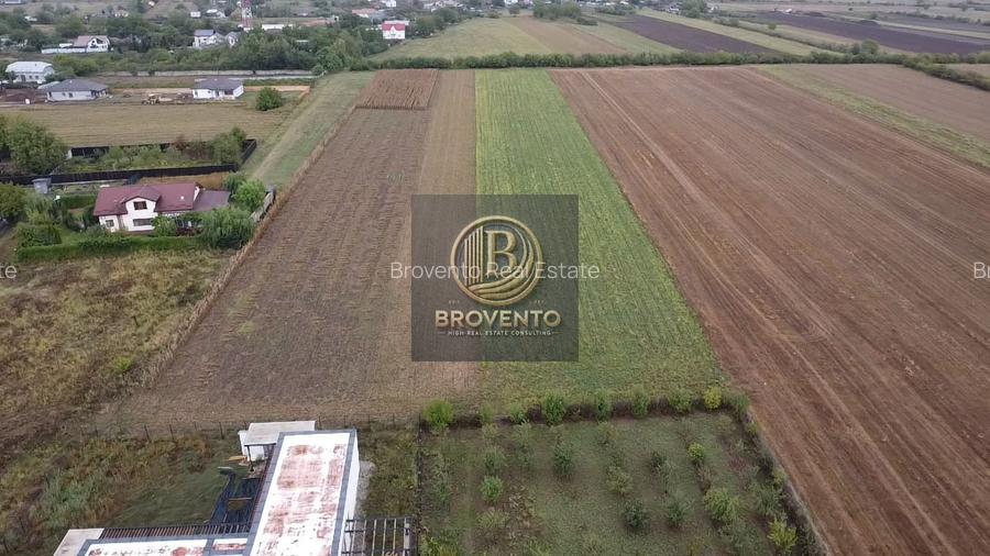 Teren Moara Vlasiei / Strada Cantonului - Padure - 6